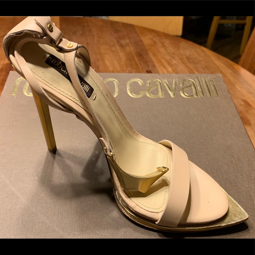 Roberto Cavalli Italian fashion designer shoes.